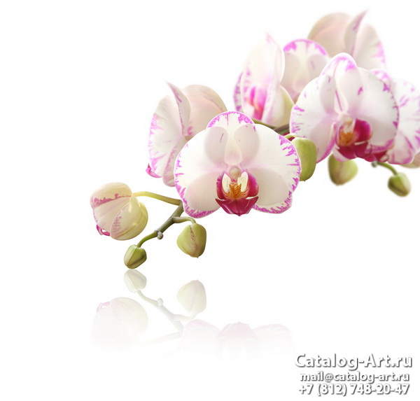 Натяжные потолки с фотопечатью - Розовые орхидеи 5